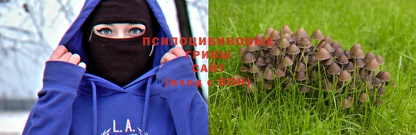 мескалин Беломорск